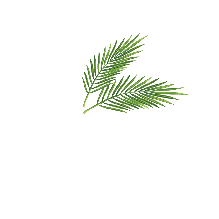 Palm Cove Resort & Spa