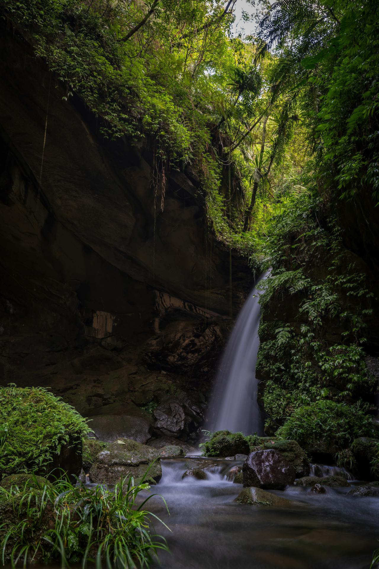 Virgin Streams & Waterfalls